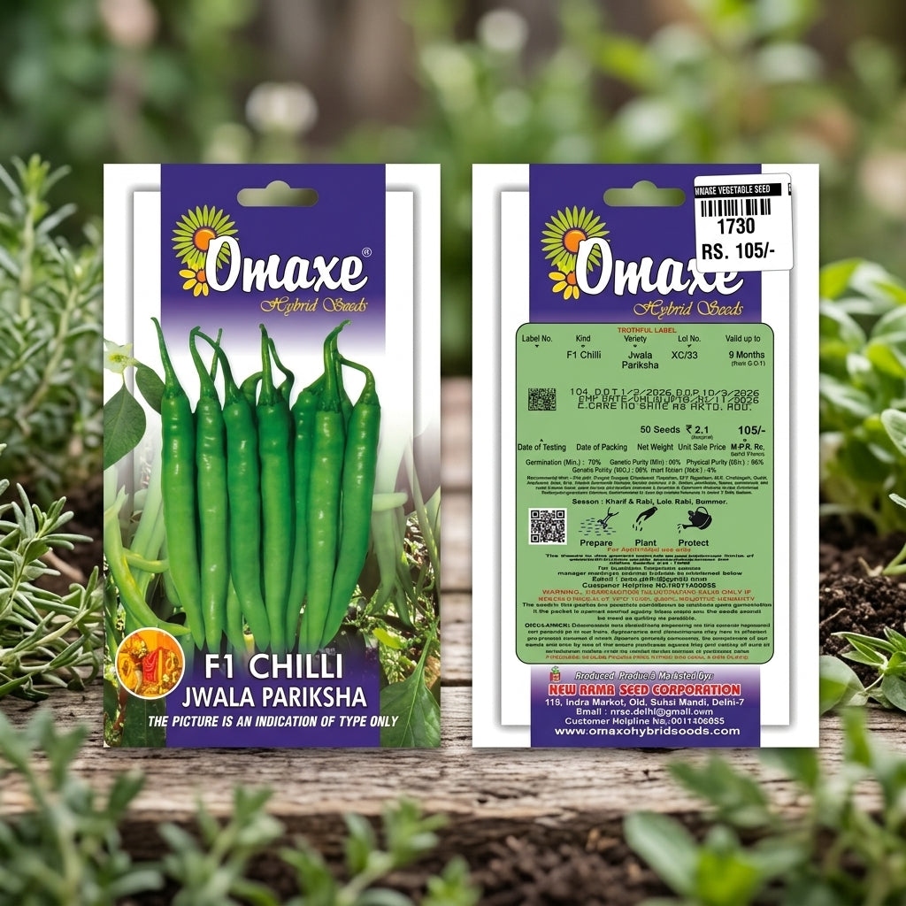 Premium F1 Chilli Jawala Prashika Seeds for High Yield Green Chilli Farming in India