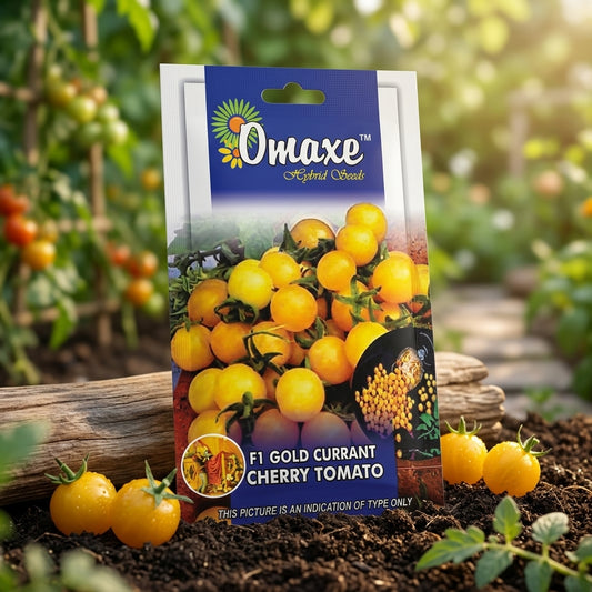 Premium F1 Cherry Currant Golden Tomato Seeds for High Yield Tomato Farming in India