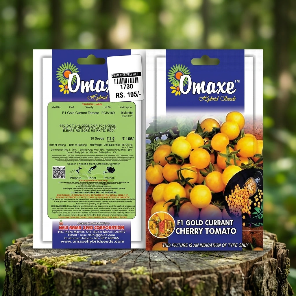 Premium F1 Cherry Currant Golden Tomato Seeds for High Yield Tomato Farming in India