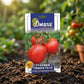Premium F1 Tomato Hybrid Seeds for High Yield Tomato Farming in India