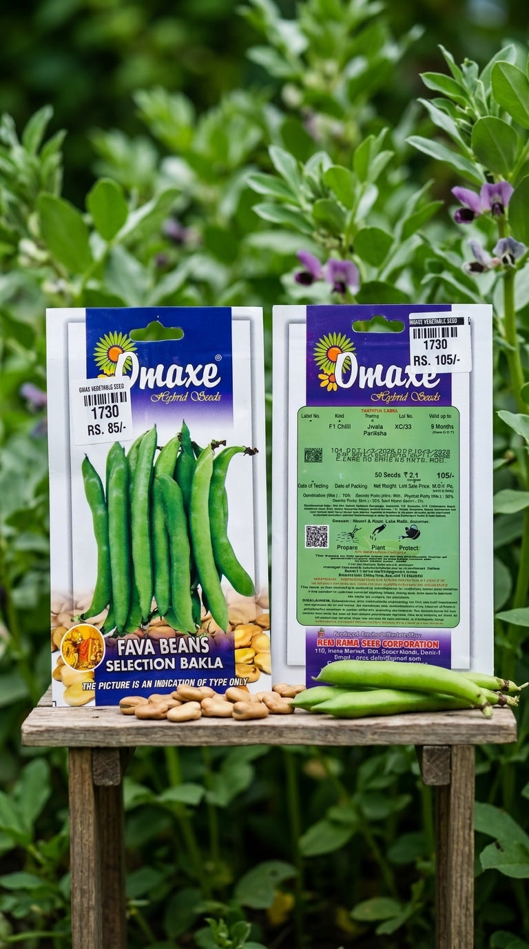 Premium Fava Beans Bakla Seeds for High Yield Bean Farming & Kitchen Gardening in India