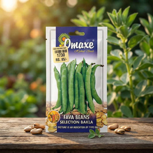 Premium Fava Beans Selection Bakla Seeds for High Yield Bean Farming in India