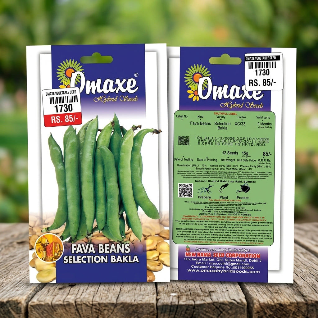 Premium Fava Beans Selection Bakla Seeds for High Yield Bean Farming in India