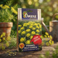Premium Fennel Wild Common Seeds for Herbal Farming & Kitchen Gardening in India