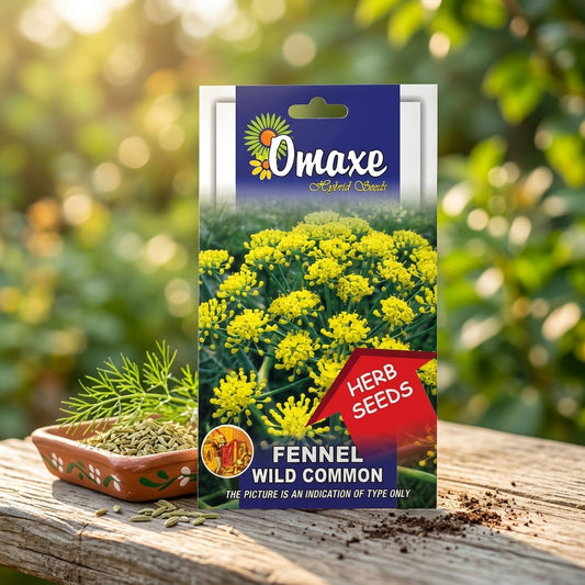 Premium Fennel Wild Common Seeds for Herbal Farming & Kitchen Gardening in India