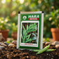 Premium Guwar Seeds for High Yield Cluster Bean Farming & Kitchen Gardening in India