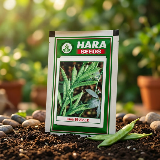 Premium Guwar Seeds for High Yield Cluster Bean Farming & Kitchen Gardening in India