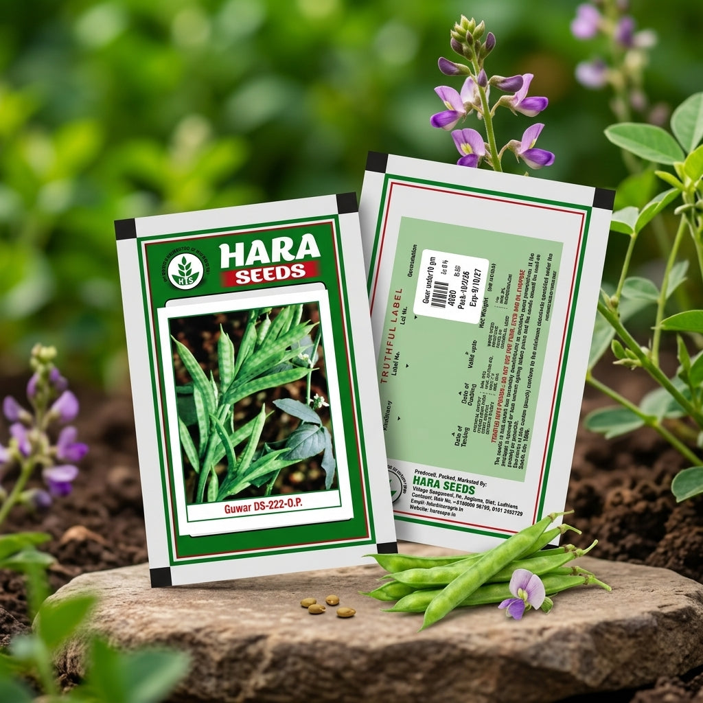 Premium Guwar Seeds for High Yield Cluster Bean Farming & Kitchen Gardening in India