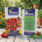 Premium Hot Pepper Round Shah Ji 115 Seeds for High Yield Chilli Farming in India
