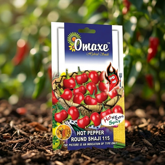 Premium Hot Pepper Round Shah Ji 115 Seeds for High Yield Chilli Farming in India