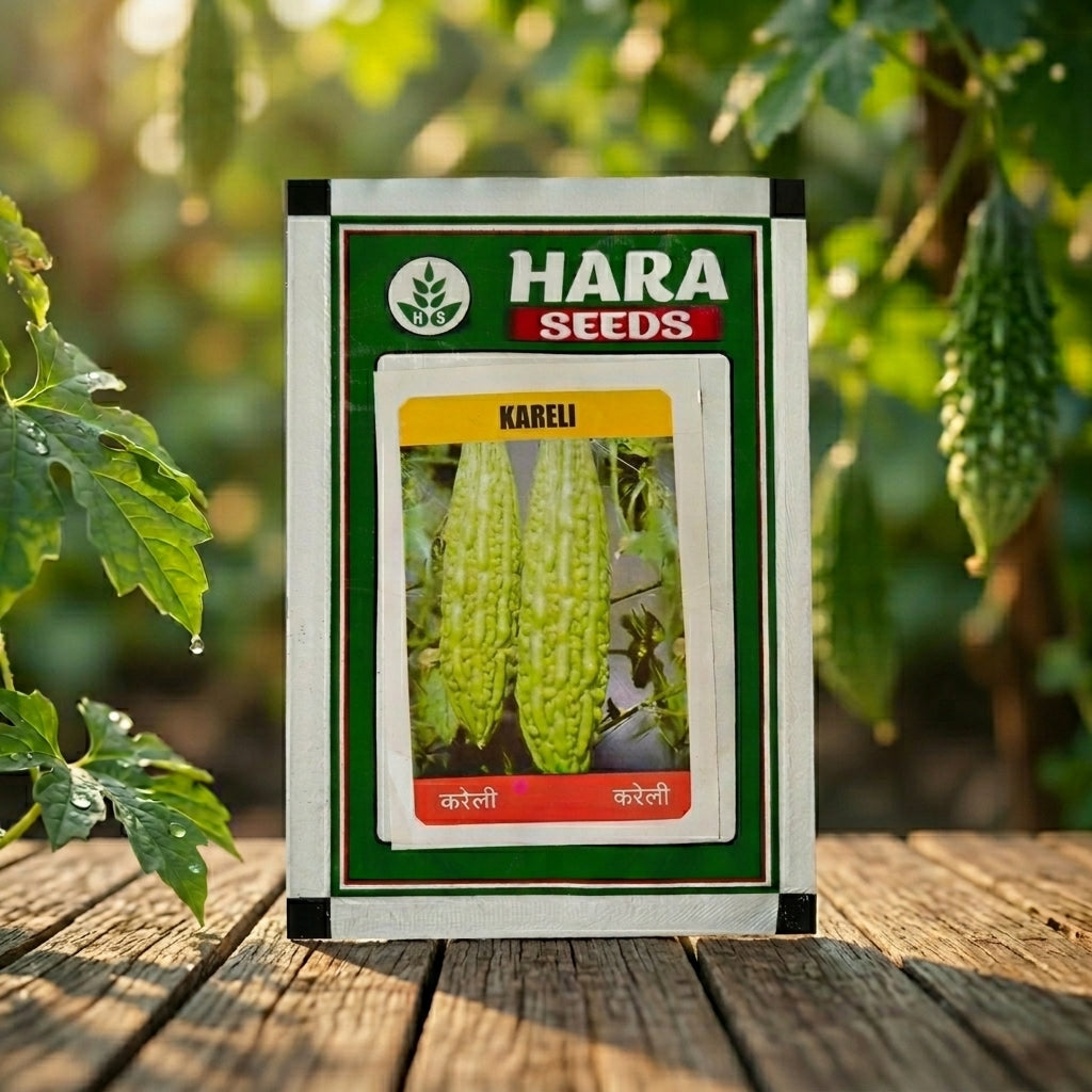 Premium Kareli Seeds for High Yield Bitter Gourd Farming & Kitchen Gardening in India