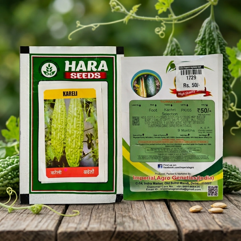 Premium Kareli Seeds for High Yield Bitter Gourd Farming & Kitchen Gardening in India