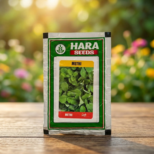 Premium Methi Seeds for Fresh Fenugreek Leaf Farming & Kitchen Gardening in India