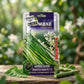 Premium Moringa Oleifera Seeds for Drumstick Farming & Herbal Gardening in India