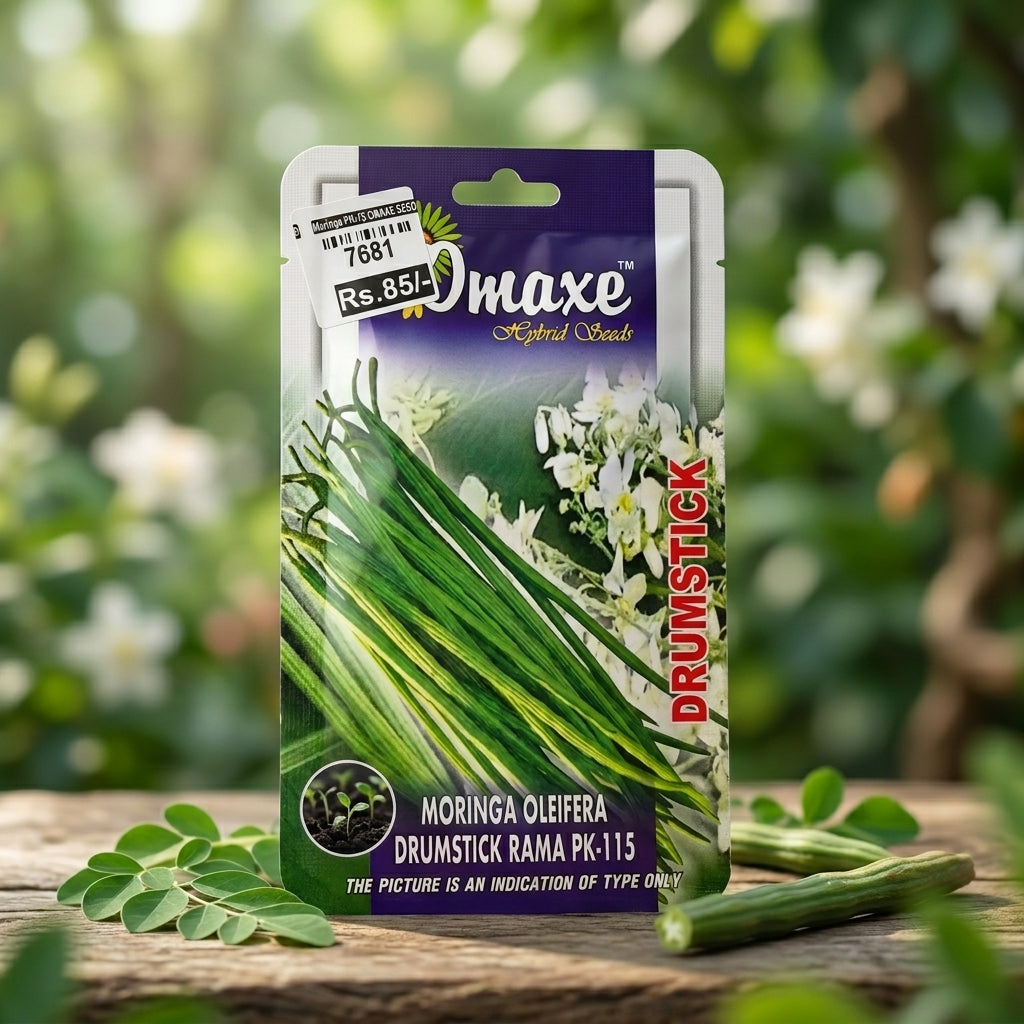 Premium Moringa Oleifera Seeds for Drumstick Farming & Herbal Gardening in India