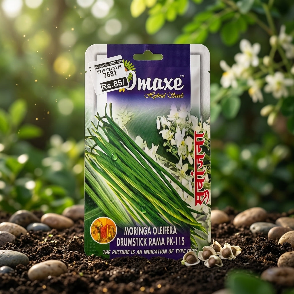 Premium Moringa Oleifera Seeds for Drumstick Farming & Herbal Gardening in India