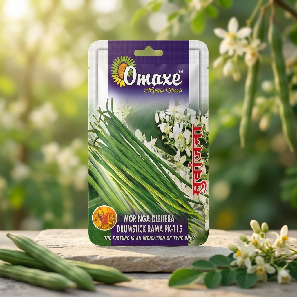 Premium Moringa Oleifera Seeds for Drumstick Farming & Herbal Gardening in India
