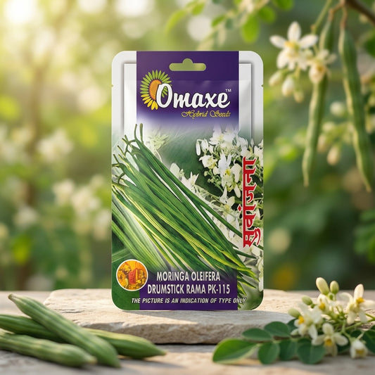Premium Moringa Oleifera Seeds for Drumstick Farming & Herbal Gardening in India