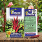 Premium Okra Bhindi Scarlet Red Seeds for High Yield Lady Finger Farming in India