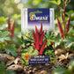 Premium Okra Bhindi Scarlet Red Seeds for High Yield Lady Finger Farming in India