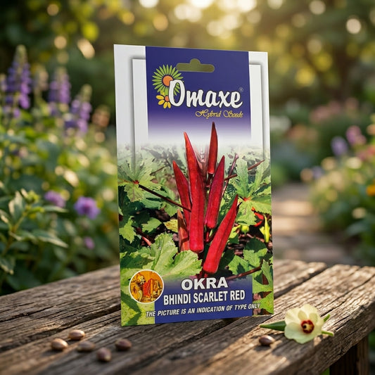 Premium Okra Bhindi Scarlet Red Seeds for High Yield Lady Finger Farming in India