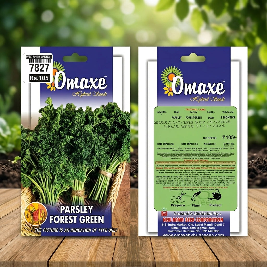 Premium Parsley Forest Green Seeds for Herbal Farming & Kitchen Gardening in India