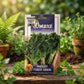 Premium Parsley Forest Green Seeds for Herbal Farming & Kitchen Gardening in India
