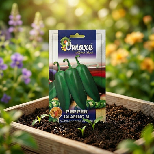 Premium Pepper Jalapeno M Seeds for High Yield Hot Pepper Farming in India