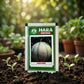 Premium Punjab Hybrid Muskmelon Seeds for High Yield Farming in India