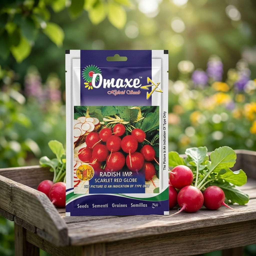 Premium Radish Imp Scarlet Red Globe Seeds for High Yield Root Vegetable Farming in India
