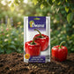 Premium Red Capsicum Seeds for High Yield Bell Pepper Farming in India