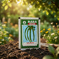 Premium Super Long Green Seeds for High Yield Vegetable Farming in India