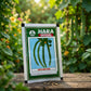 Premium Super Long Green Seeds for High Yield Vegetable Farming in India