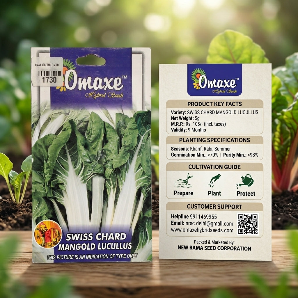 Premium Swiss Chard Mangold Lucullus Seeds for Leafy Vegetable Farming in India