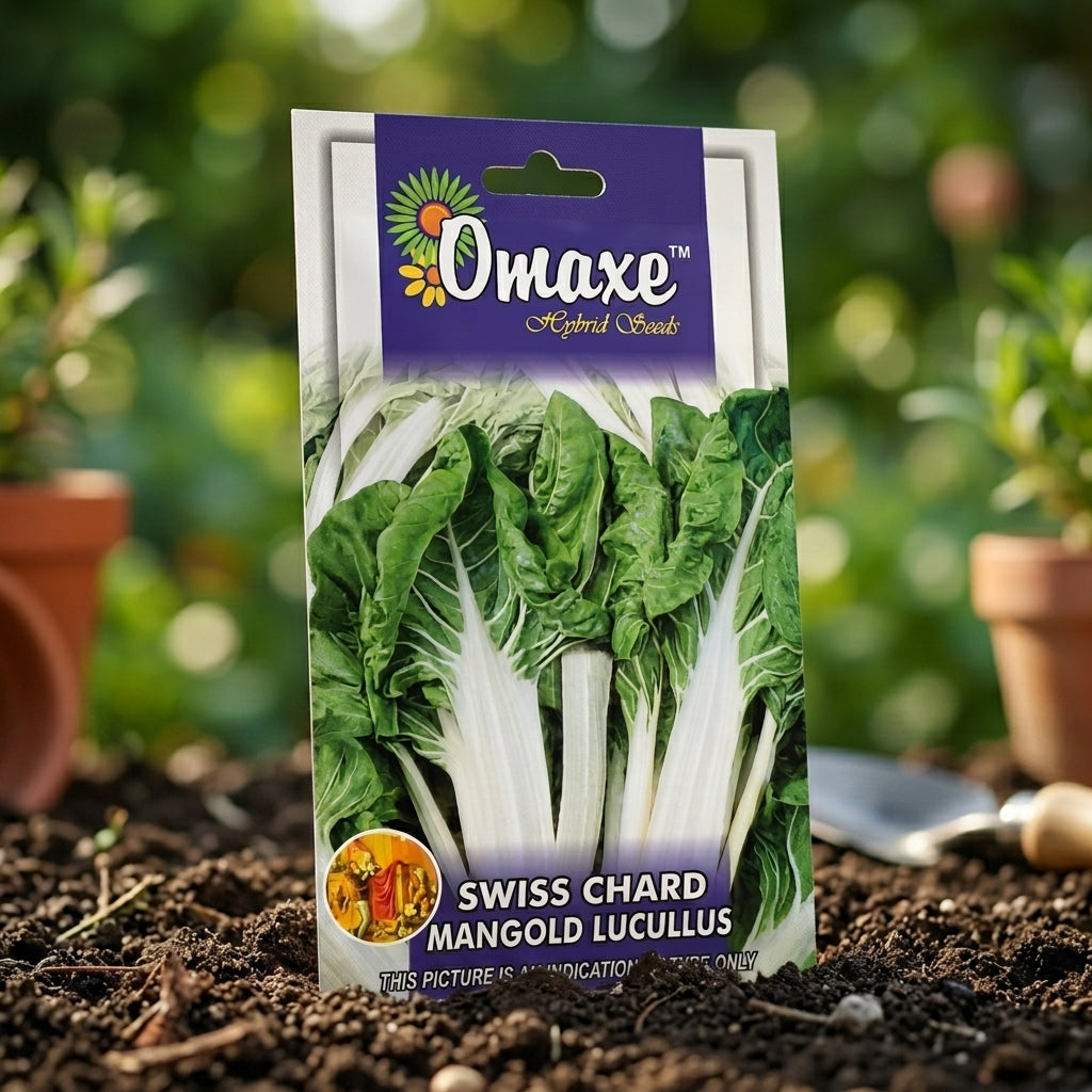 Premium Swiss Chard Mangold Lucullus Seeds for Leafy Vegetable Farming in India