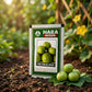 Premium Tinda Seeds for High Yield Apple Gourd Farming & Kitchen Gardening in India