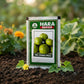 Premium Tinda Seeds for High Yield Apple Gourd Farming & Kitchen Gardening in India