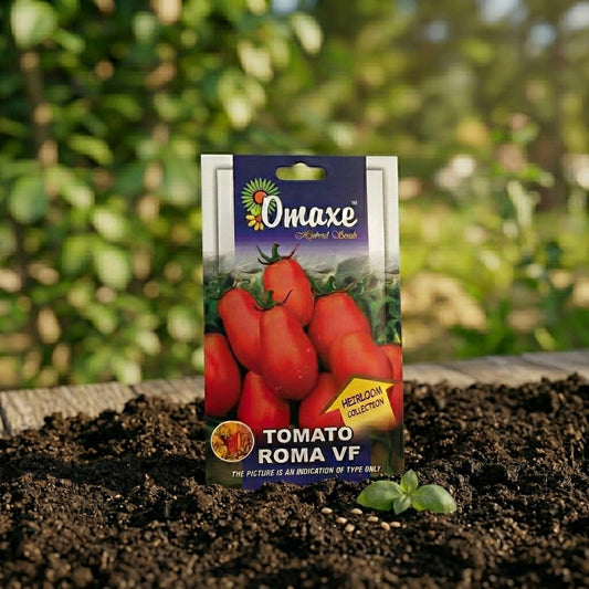 Premium Tomato Roma VF Seeds for High Yield Tomato Farming & Kitchen Gardening in India