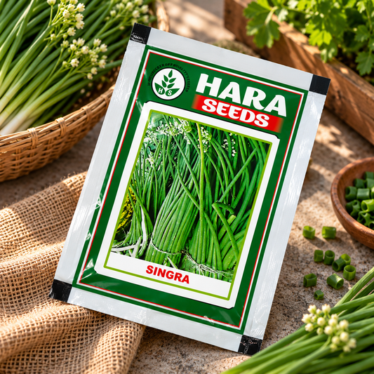 Hara Seeds Singra (Mongra) Vegetable Seeds 10g – Premium Quality Seeds for Kitchen Garden, Terrace Gardening & Home Vegetable Growing