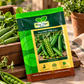 Hara Agri Seeds Peas HAS-1168 (Imp.) Seeds – Premium Green Pea Vegetable Seeds for Home Gardening, Kitchen Gardens & Commercial Cultivation
