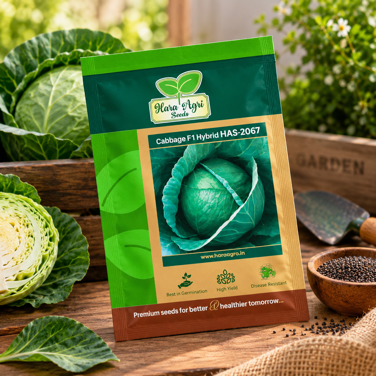 Cabbage F1 Hybrid HAS-2067 Seeds – High Yield, Disease Resistant Green Cabbage Seeds for Home Gardening & Commercial Vegetable Farming