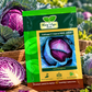 Cabbage F1 Hybrid HAS-2068 – Premium Purple Cabbage Seeds for High Yield, Uniform Heads & Commercial Vegetable Farming