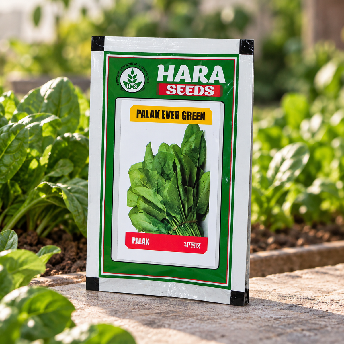 Hara Seeds Palak Ever Green Vegetable Seeds for Home Garden & Kitchen Garden – Fresh Green Spinach Seeds for Direct Sowing