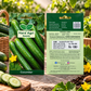 Cucumber HY Seeds | Hara Agri Seeds | Hybrid Cucumber Vegetable Seeds for Home Garden, Kitchen Garden, Terrace Garden, Pots & Grow Bags