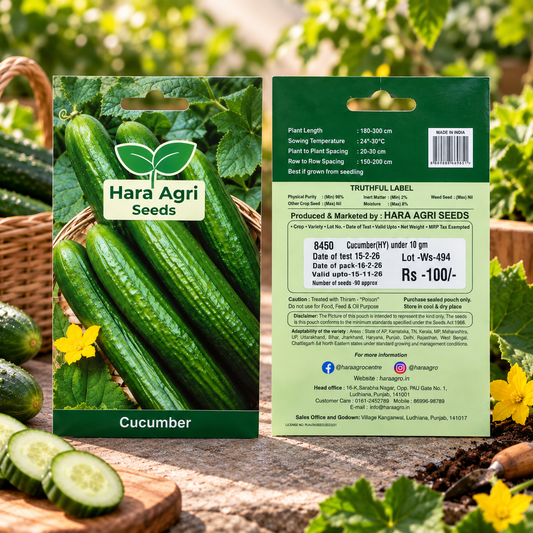 Cucumber HY Seeds | Hara Agri Seeds | Hybrid Cucumber Vegetable Seeds for Home Garden, Kitchen Garden, Terrace Garden, Pots & Grow Bags