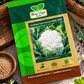 Hara Agri Cauliflower Super Selection HAS-1205 Seeds – Premium Vegetable Seeds for Healthy, High-Yield Cauliflower Cultivation