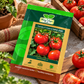 Hara Agri Tomato F1 Hybrid HAS-2181 Seeds – Premium High-Yield Tomato Seeds for Healthy Plants, Quality Fruits & Productive Vegetable Cultivation