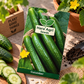 Cucumber HY Seeds | Hara Agri Seeds | Hybrid Cucumber Vegetable Seeds for Home Garden, Kitchen Garden, Terrace Garden, Pots & Grow Bags