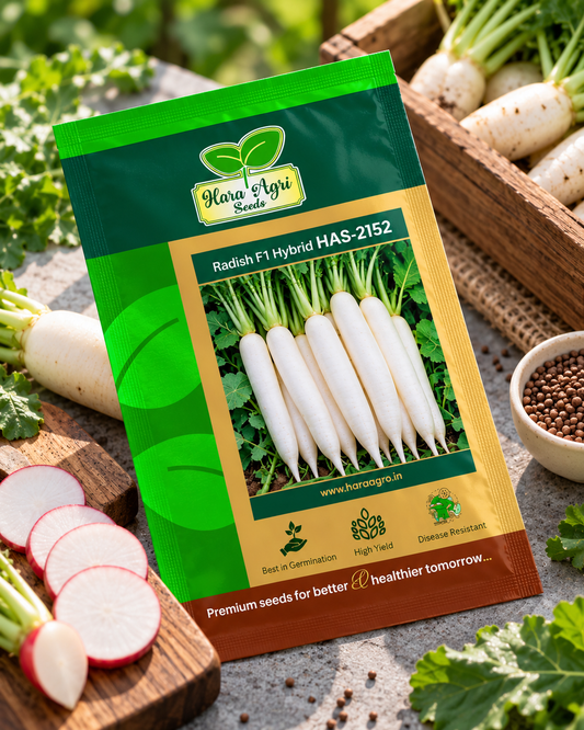 Hara Agri Radish F1 Hybrid HAS-2152 Seeds – Premium White Radish Vegetable Seeds for High Yield, Good Germination & Healthy Root Development
