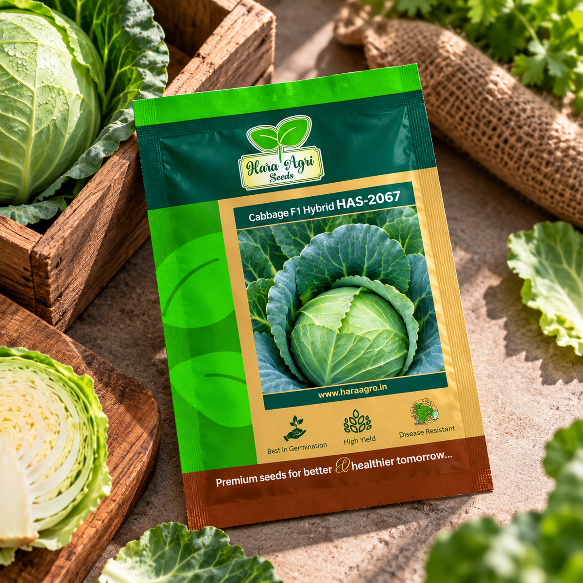Cabbage F1 Hybrid HAS-2067 Seeds – High Yield, Disease Resistant Green Cabbage Seeds for Home Gardening & Commercial Vegetable Farming